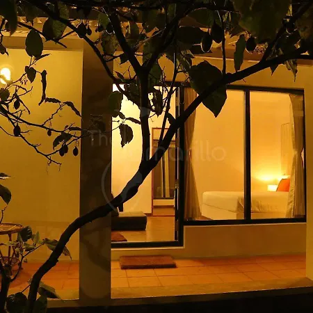 The Tamarillo-3